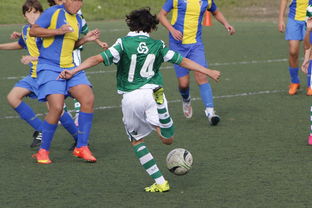 9游游戏官网-中国足球国家队备战友谊赛调整战术策略，国足 友谊赛